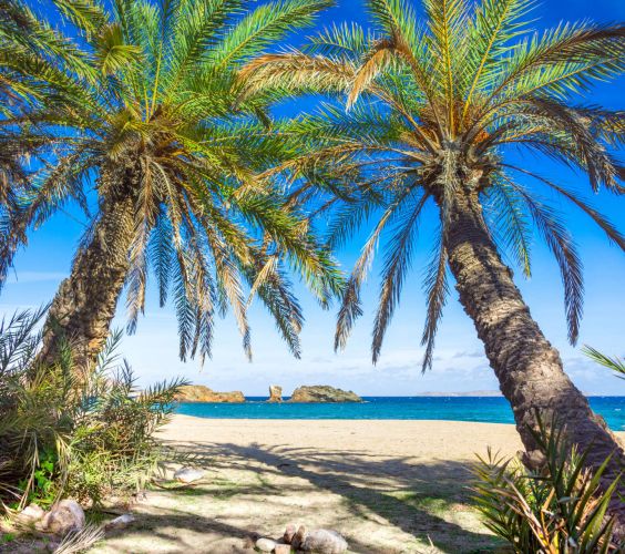 Scenic landscape of palm trees, turquoise water and tropical beach, Vai, Crete, Greece.